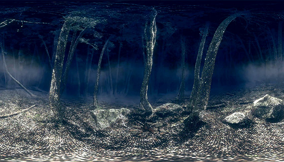Image du prototype de la forêt enchanté